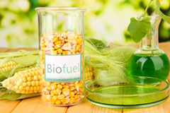 Low Common biofuel availability