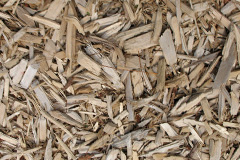 biomass boilers Low Common
